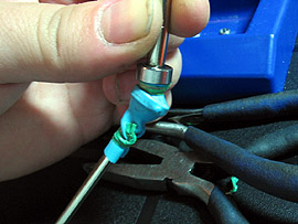 Image of test cv.jpg